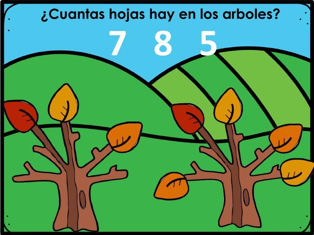 Contando colecciones del otoño