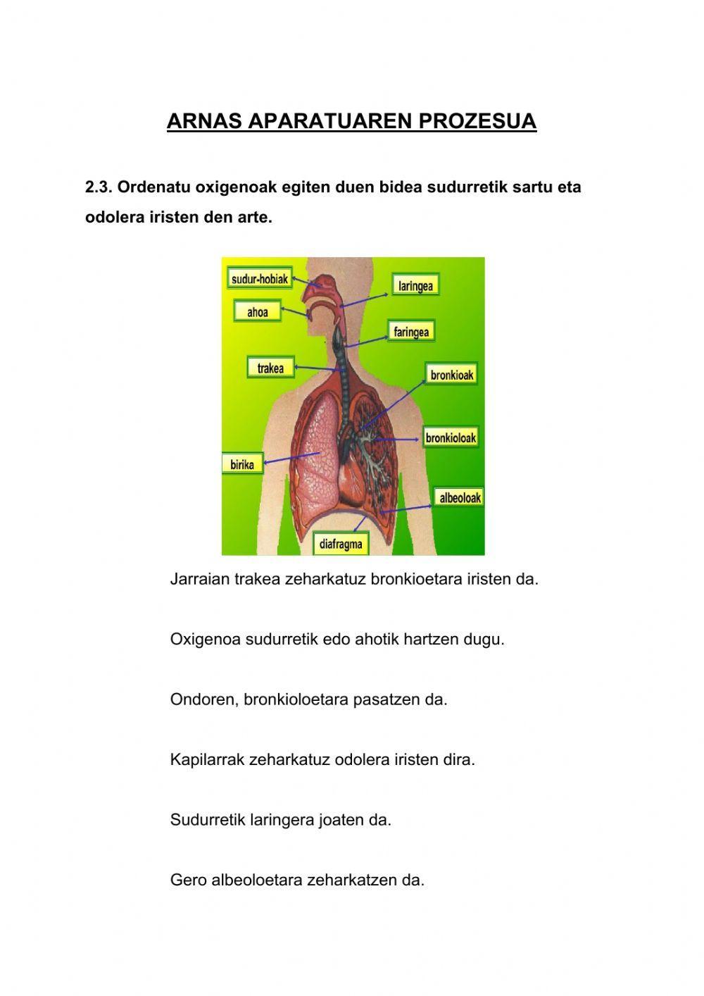 Arnas Aparatua Prozesua