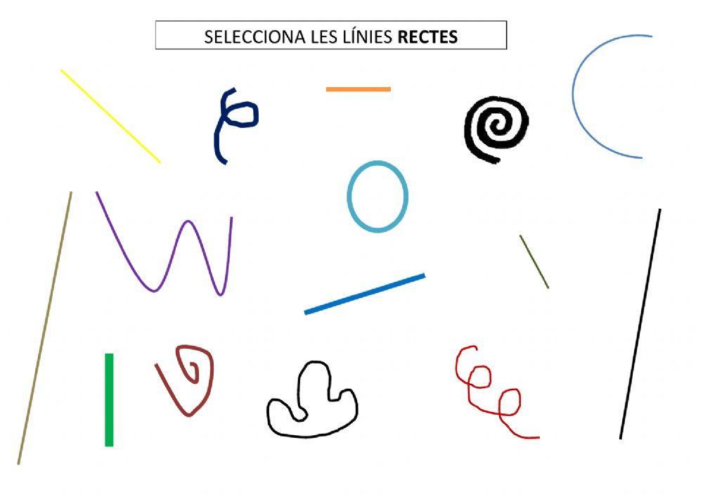 Línies rectes i corbes