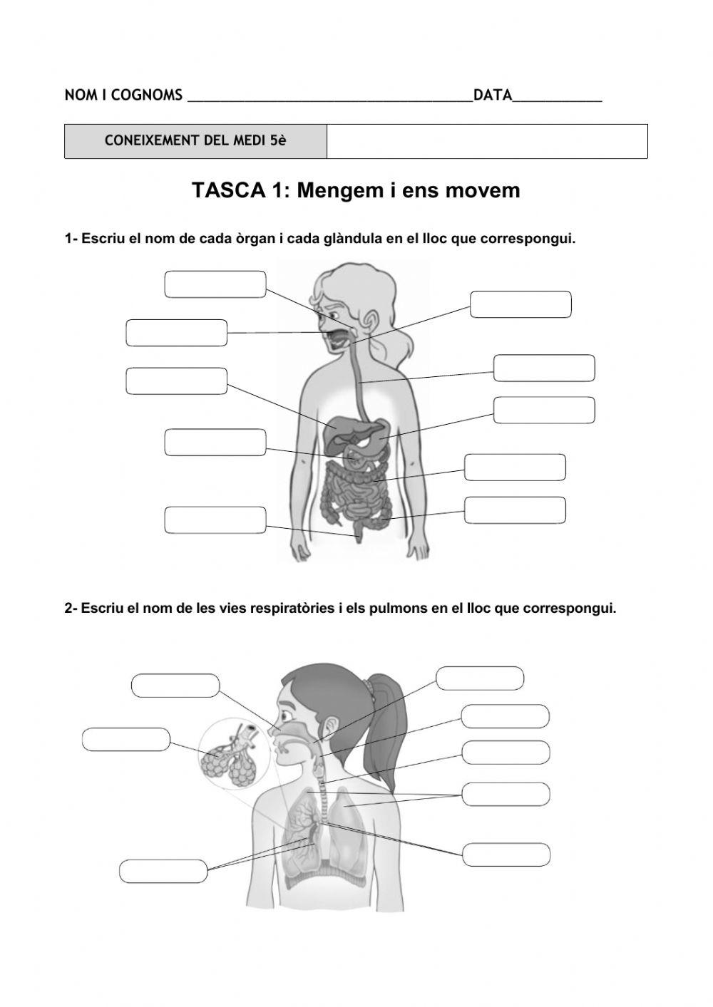 Tasca 1 - prova inicial