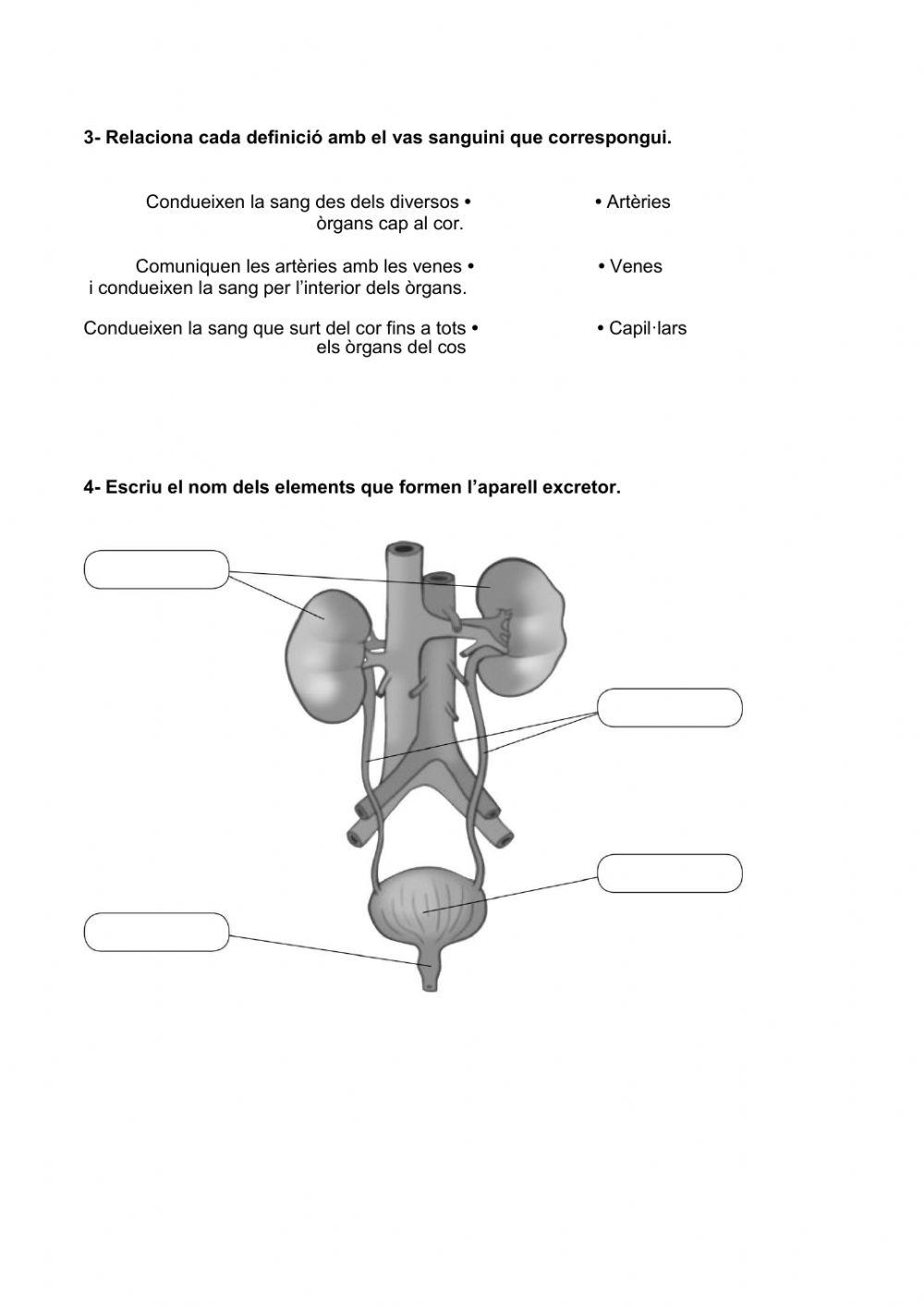 Tasca 1 - prova inicial