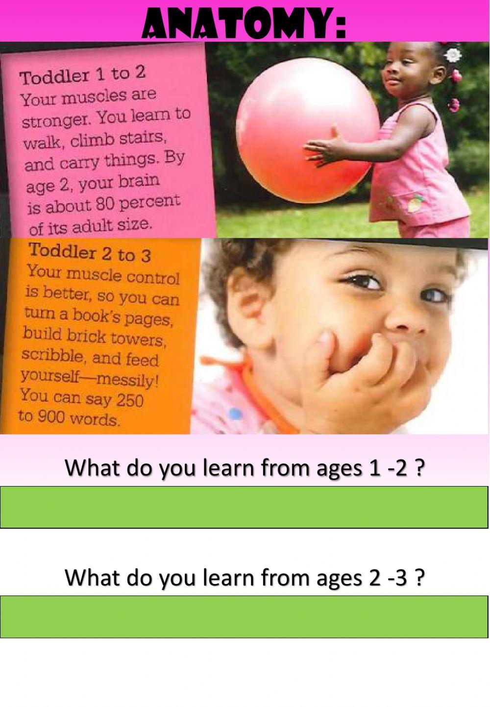 WEEK 32: WEDNESDAY: Genes