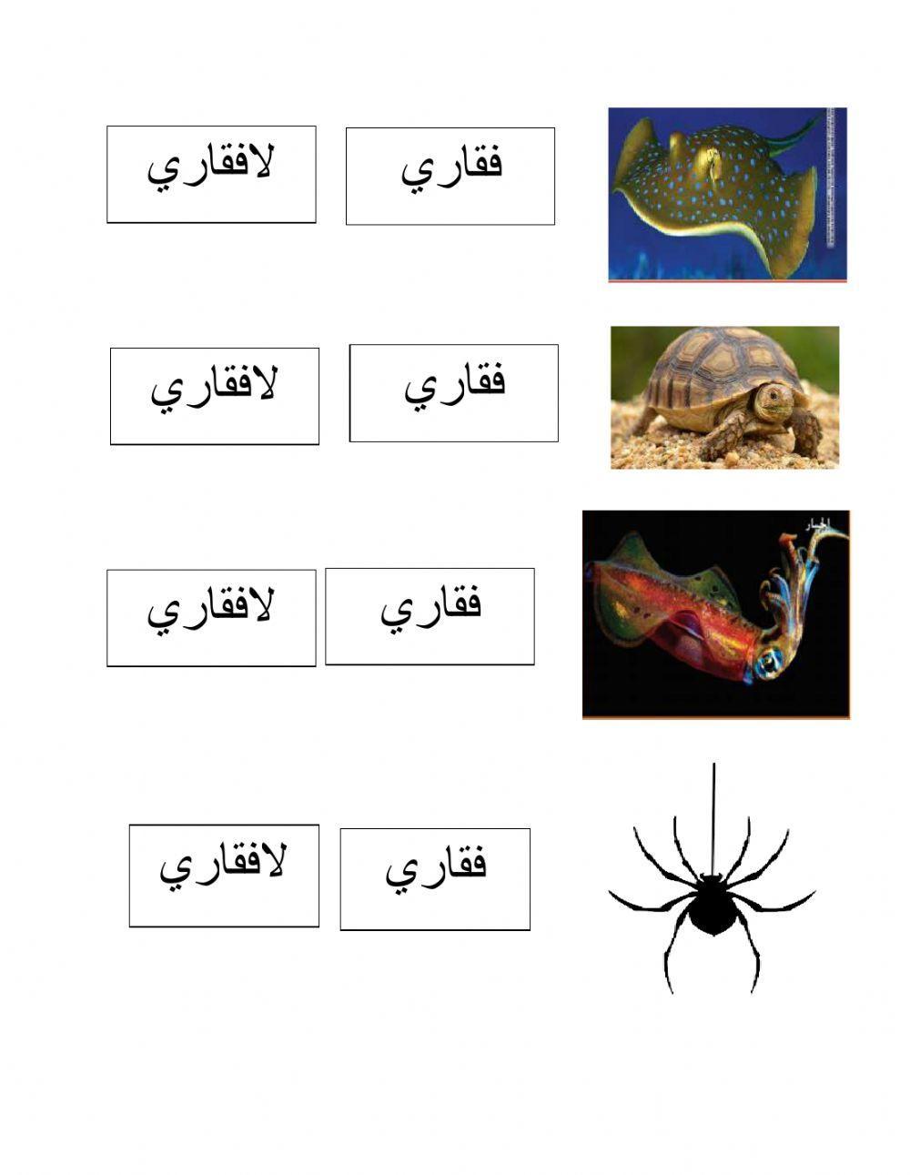 تصنيف الفقاريات واللافقاريات
