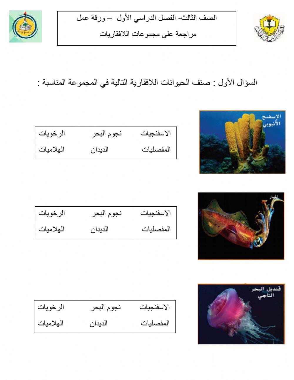 تصنيف اللافقاريات الستة