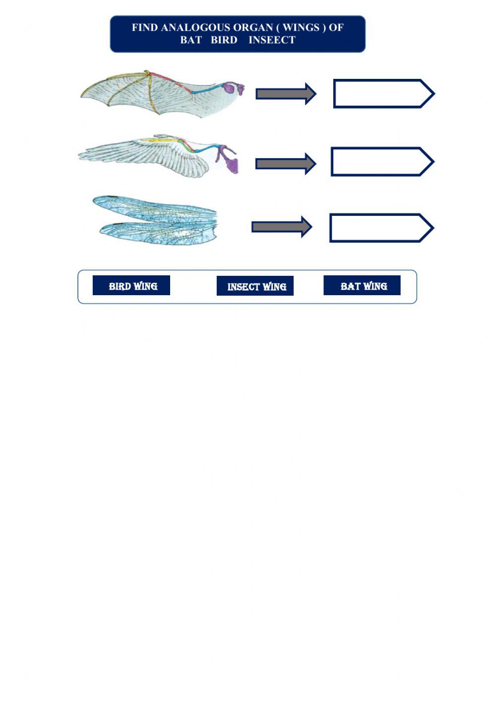 Organ and evolution of life