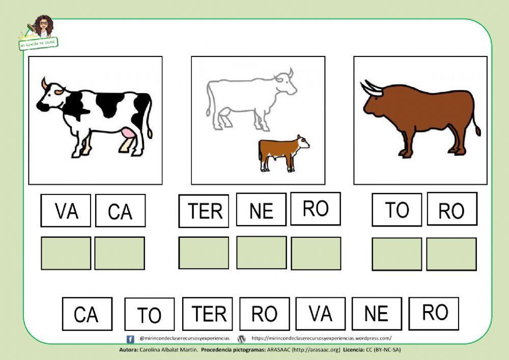 VACA, TORO y TERNERO