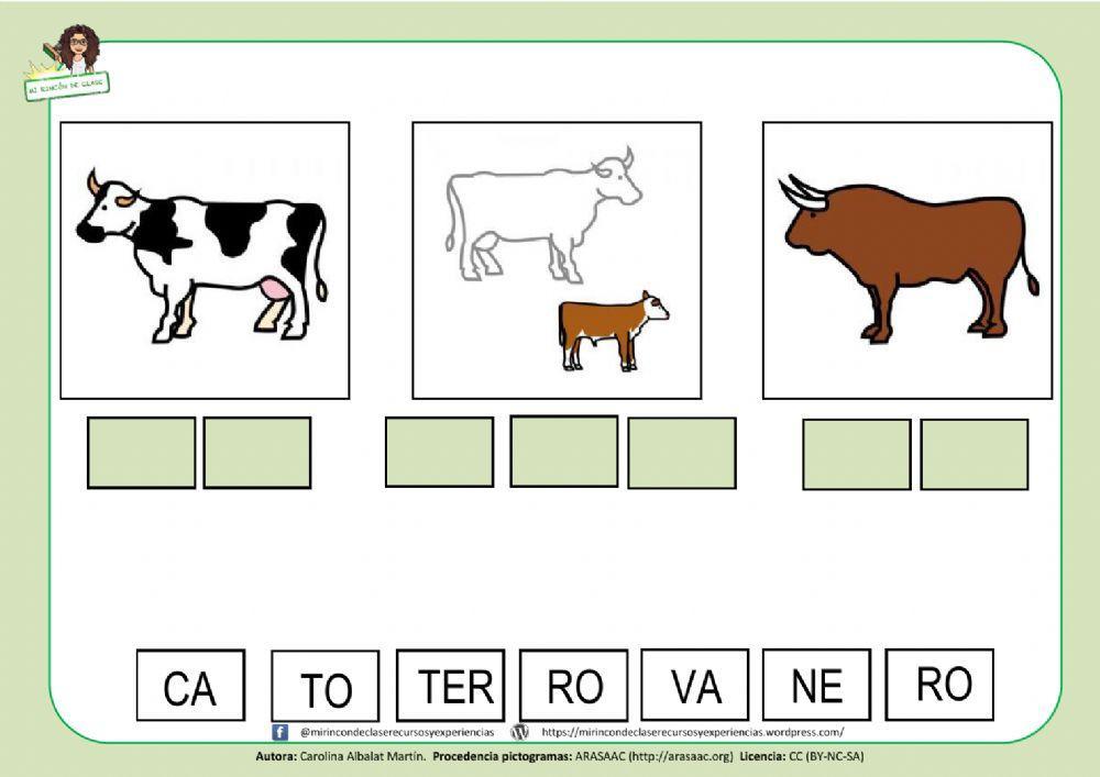 VACA, TORO y TERNERO