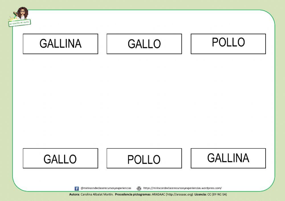 GALLO, GALLINA y POLLO