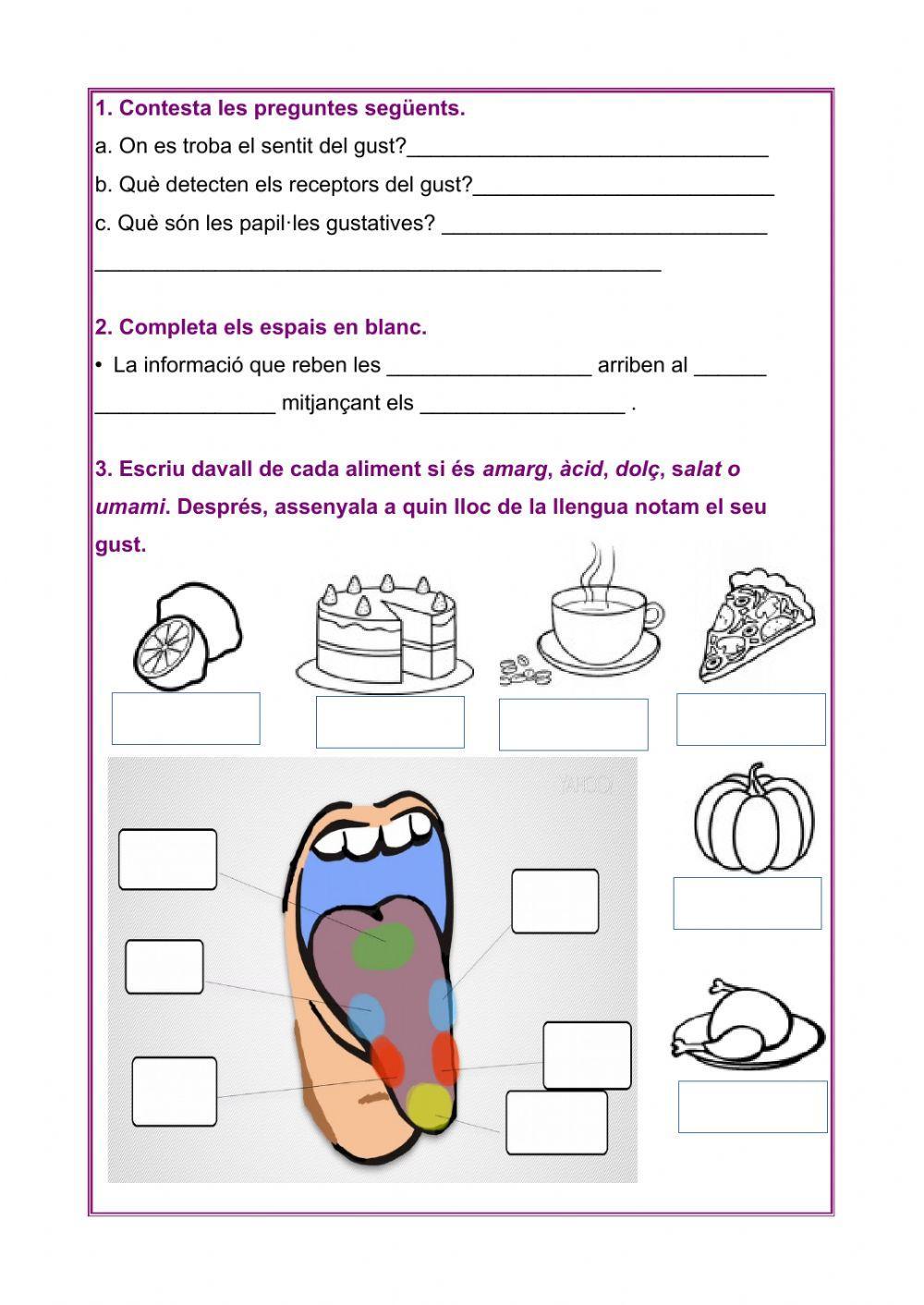 Activitats sobre el gust