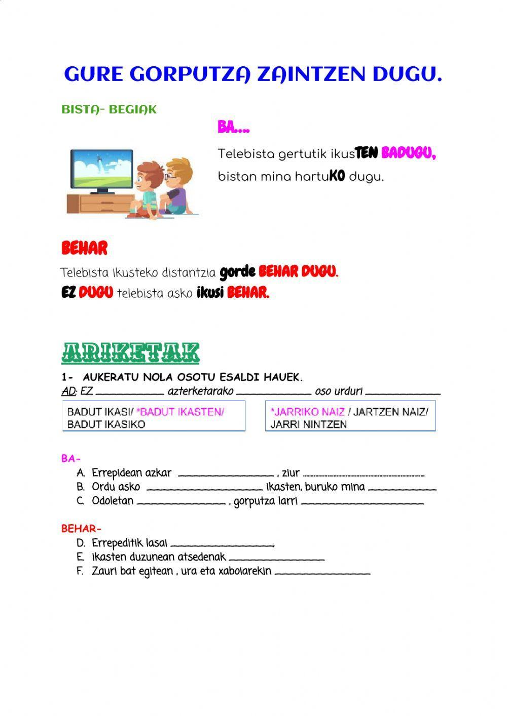 Behar eta baldintzak