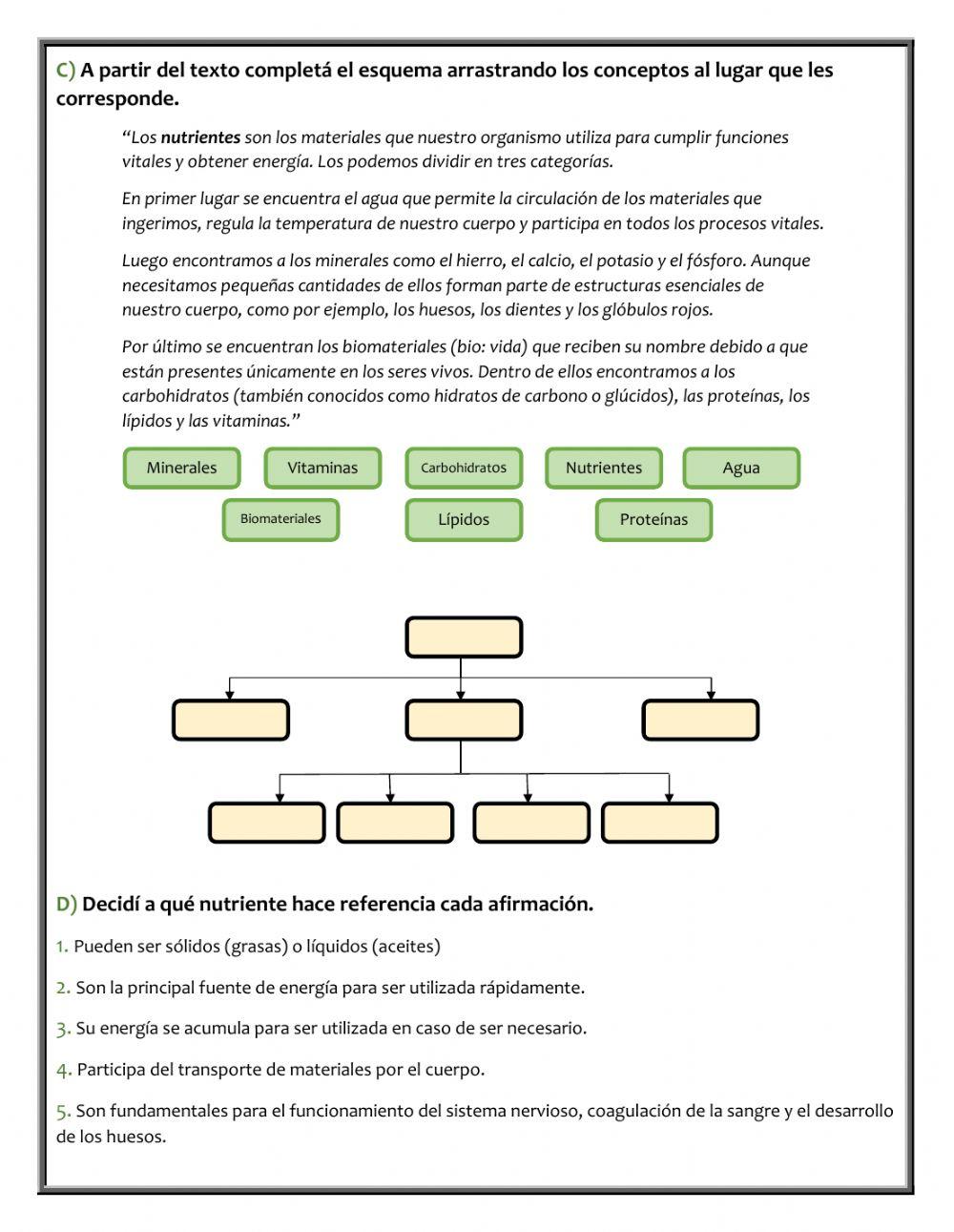 Los alimentos y los nutrientes