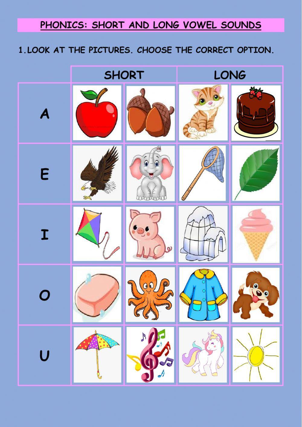 Phonics: Short and Long Vowel Sound