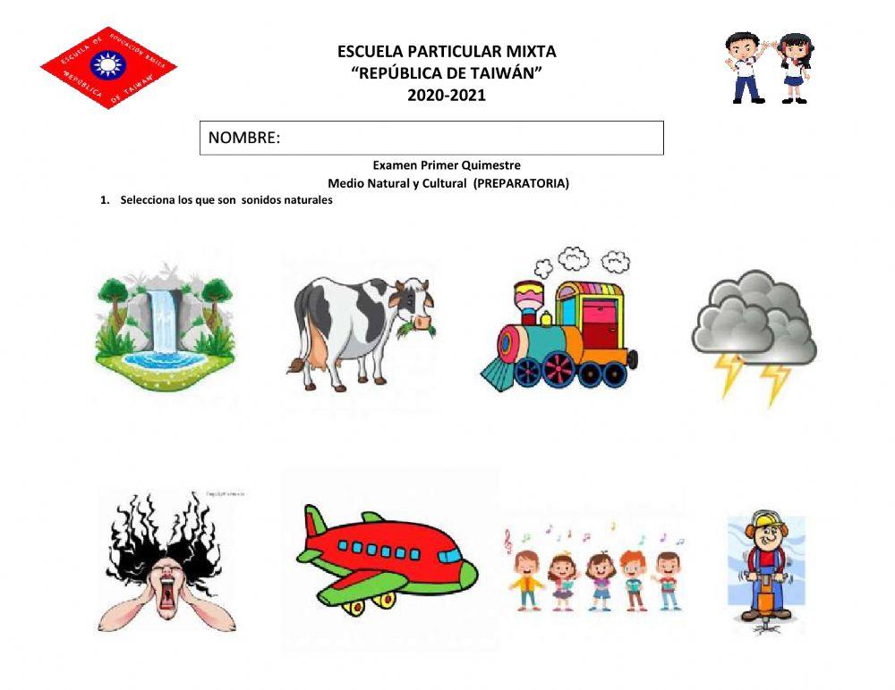 Examen medio natural y cultural