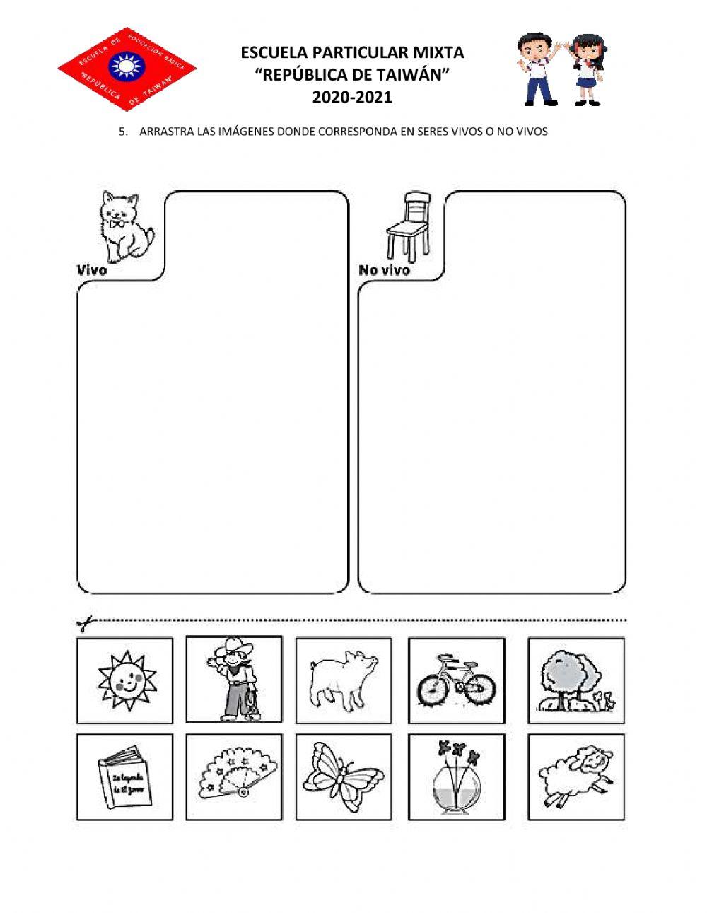 Examen medio natural y cultural