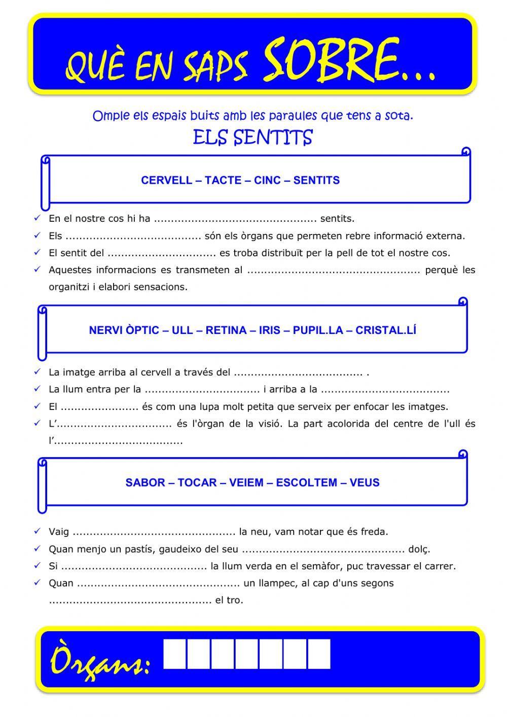 Que saps sobre... Organ-Sentits 03