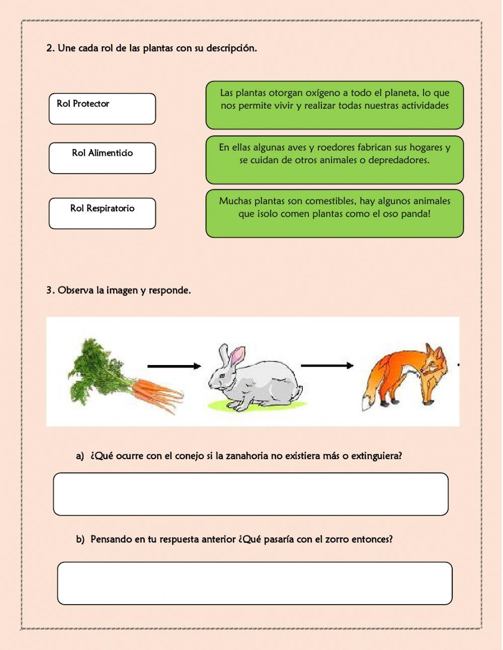 Importancia de las plantas