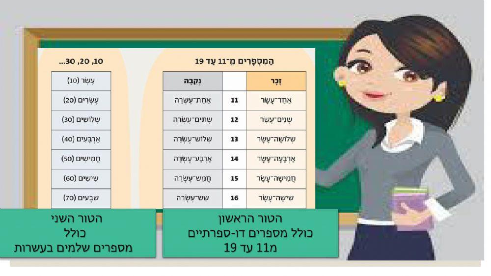 שם המספר מ11-19