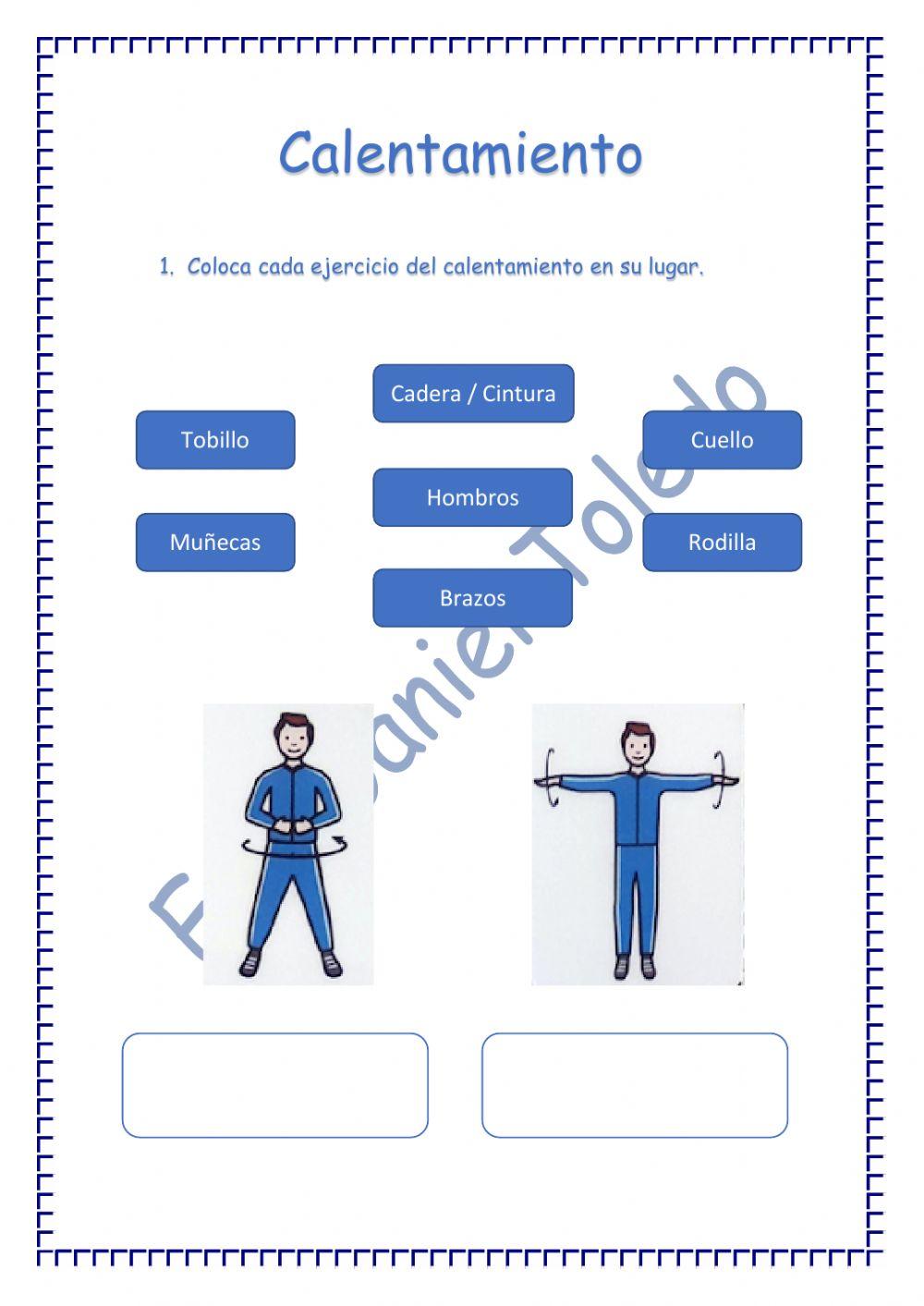 El calentamiento en Educación Física
