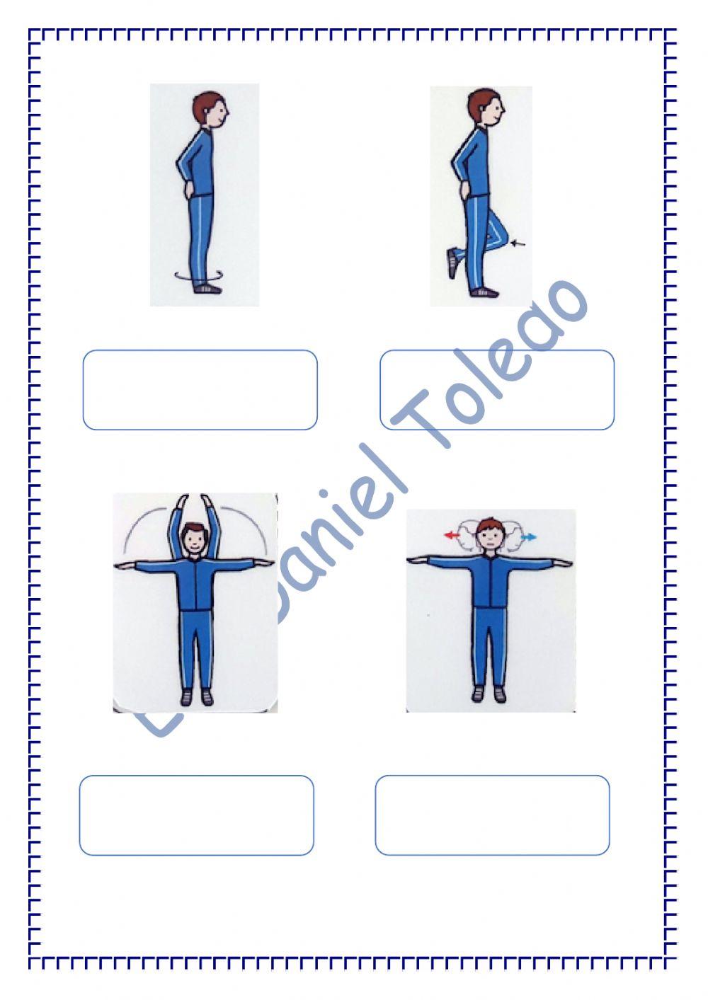 El calentamiento en Educación Física