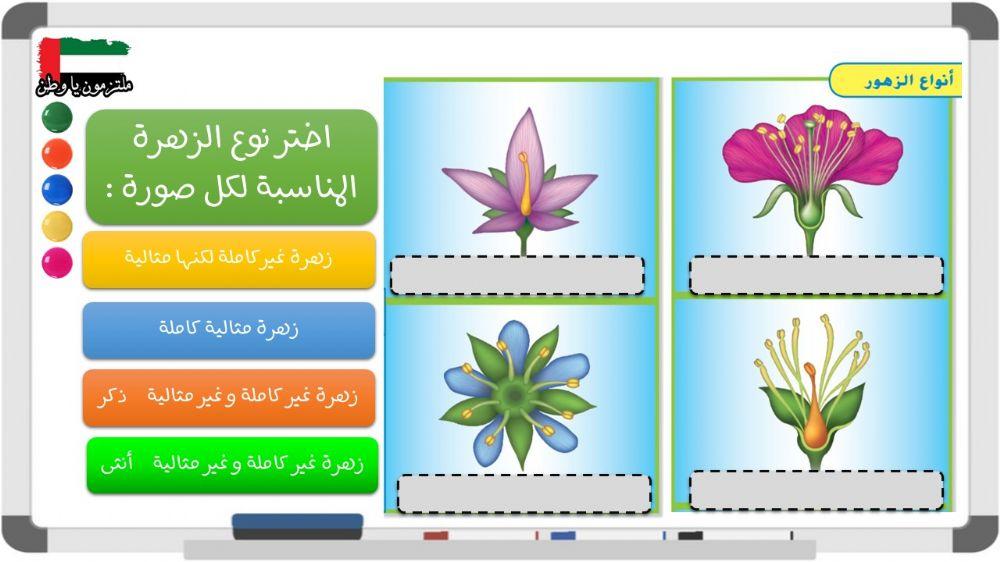 الأزهار الكاملة و المثالية - الصف الخامس