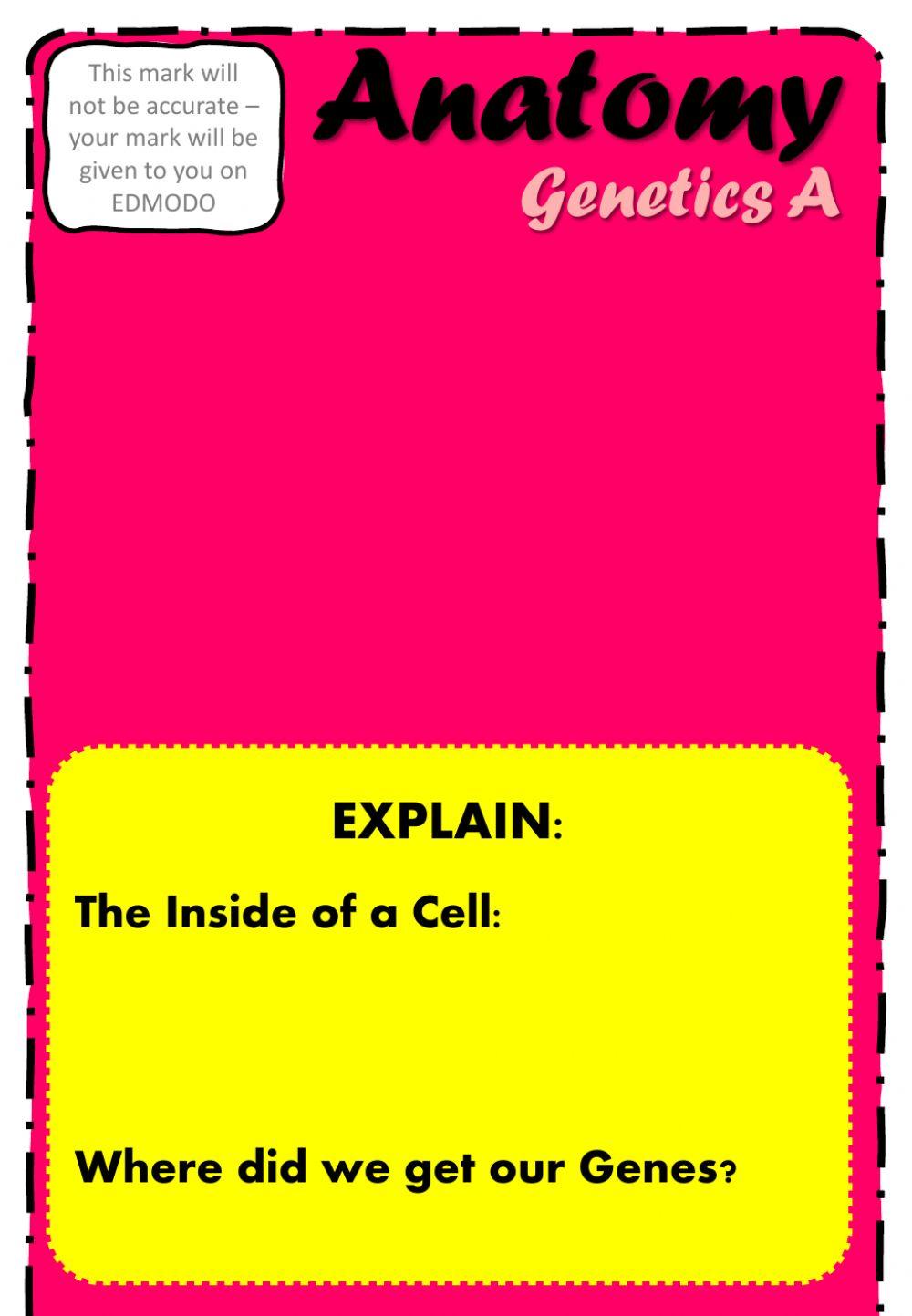 Anatomy - Genetics A