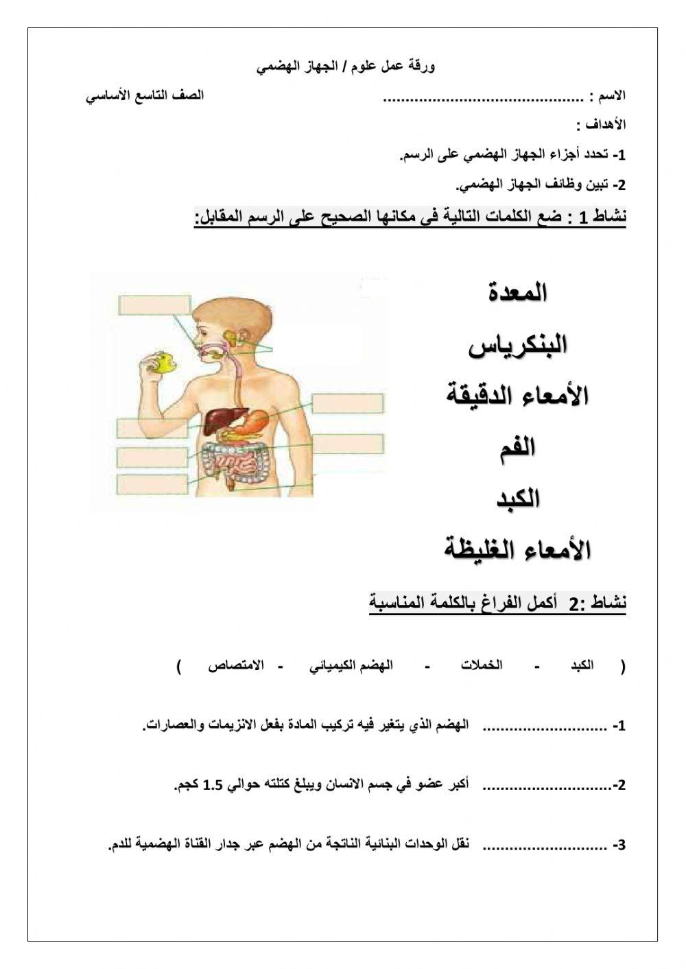 الجهاز الهضمي