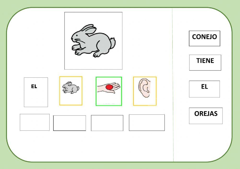 Los animales de la granja: conejo