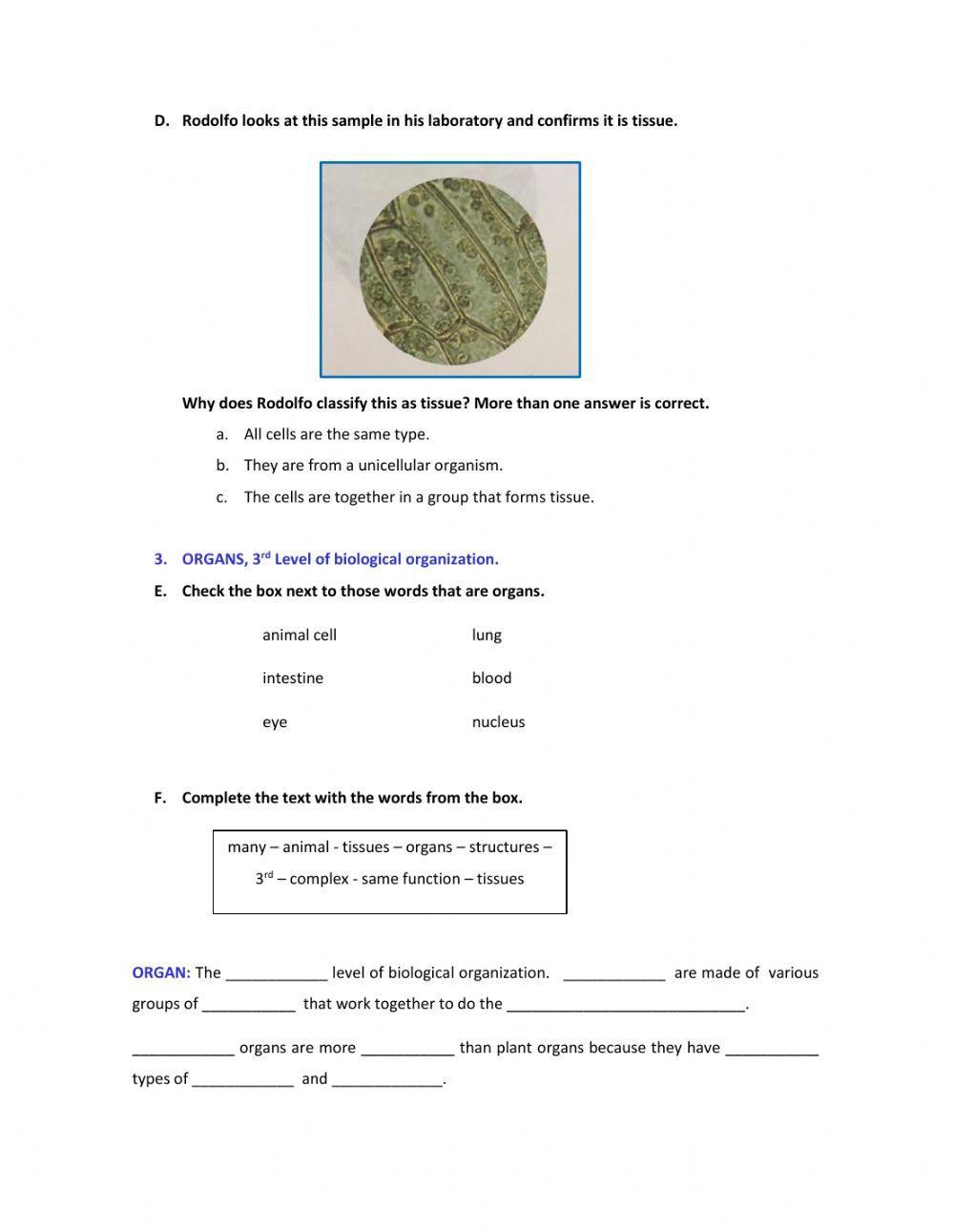 Organization of Multicellular Organisms