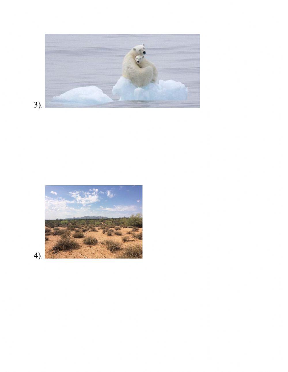 Types of Climate 
