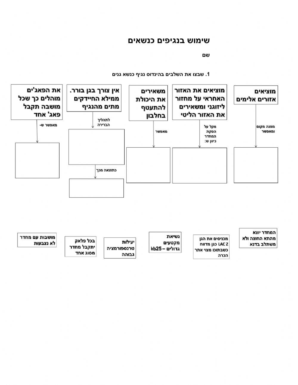 תרגול - שימוש בנגיפים כנשאים