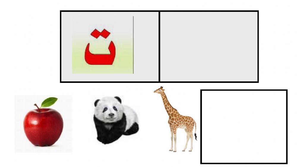 الاحرف ء ب ت ث