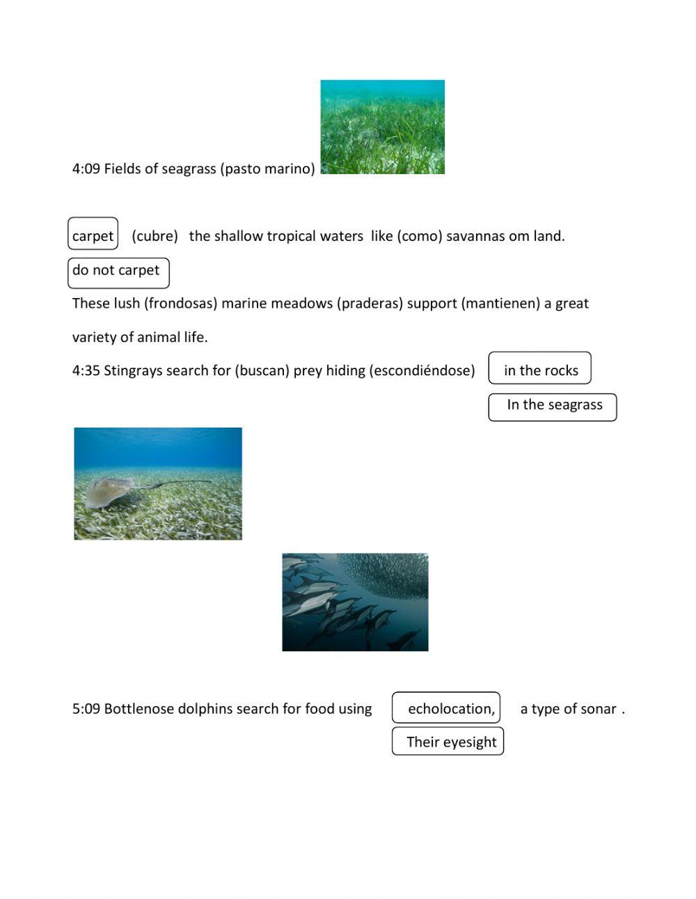 406989 Our Coastal seas Nmp25097211