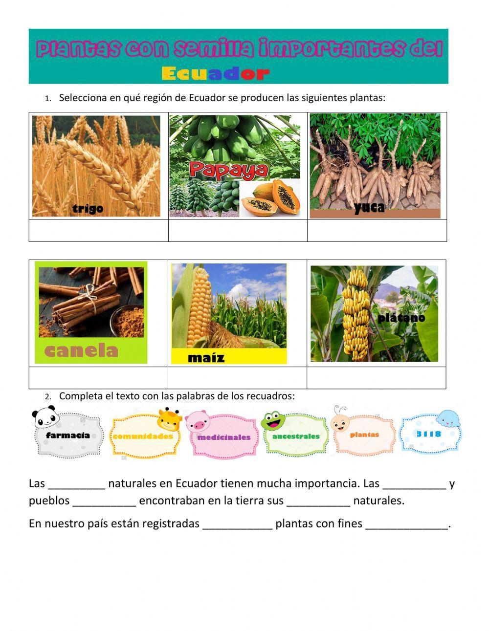 Plantas con semilla importantes de Ecuador