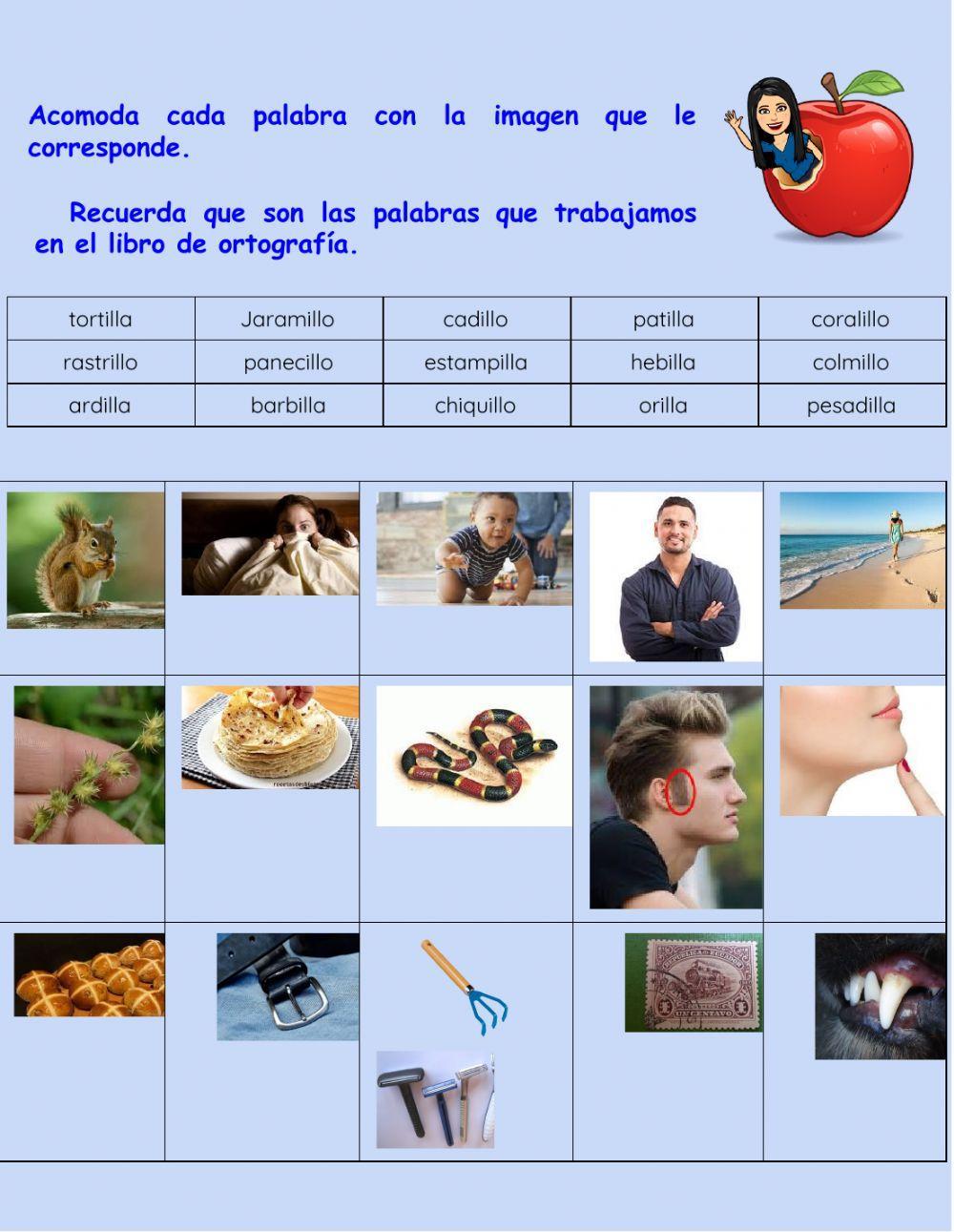 Palabras con illo-illa