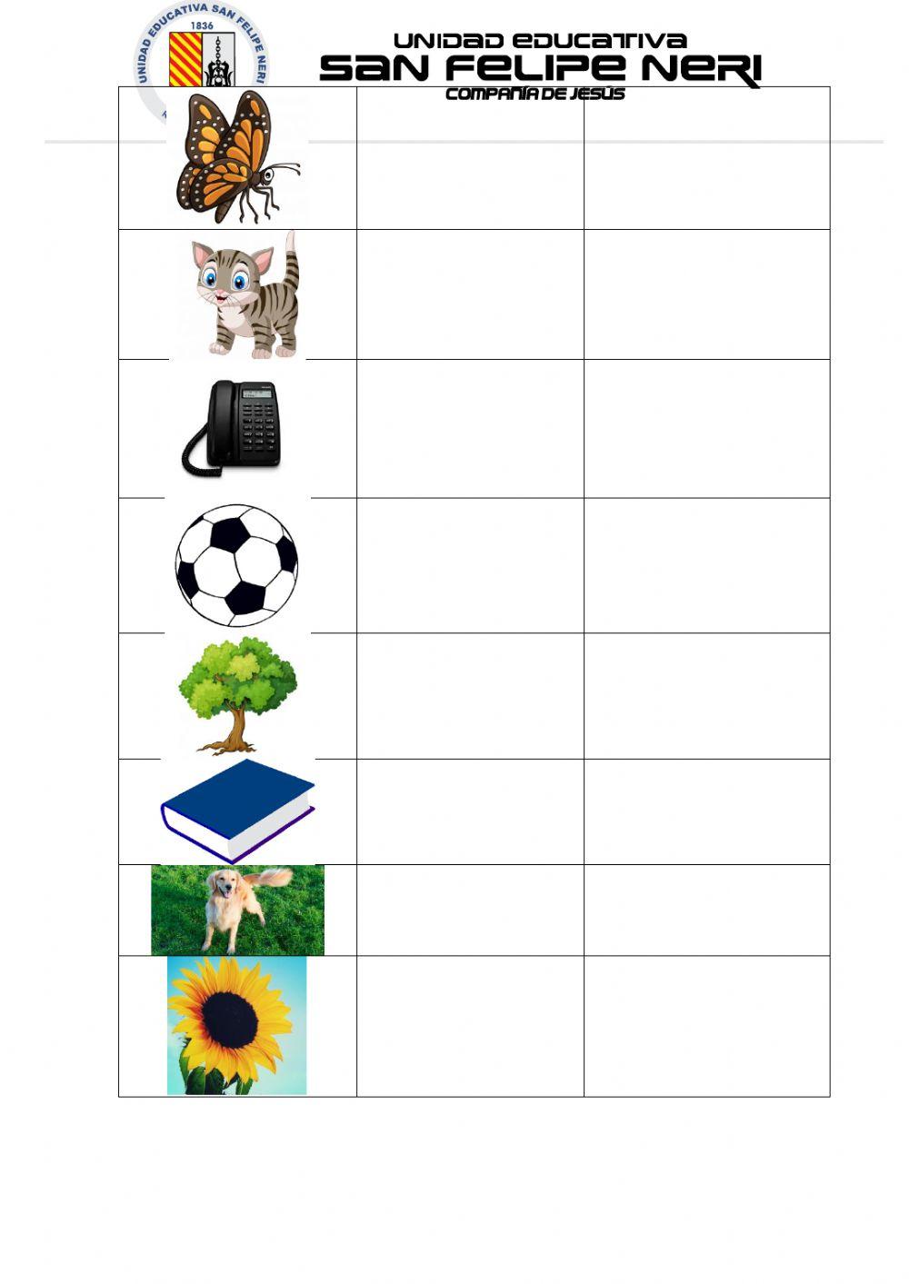 Número del sustantivo