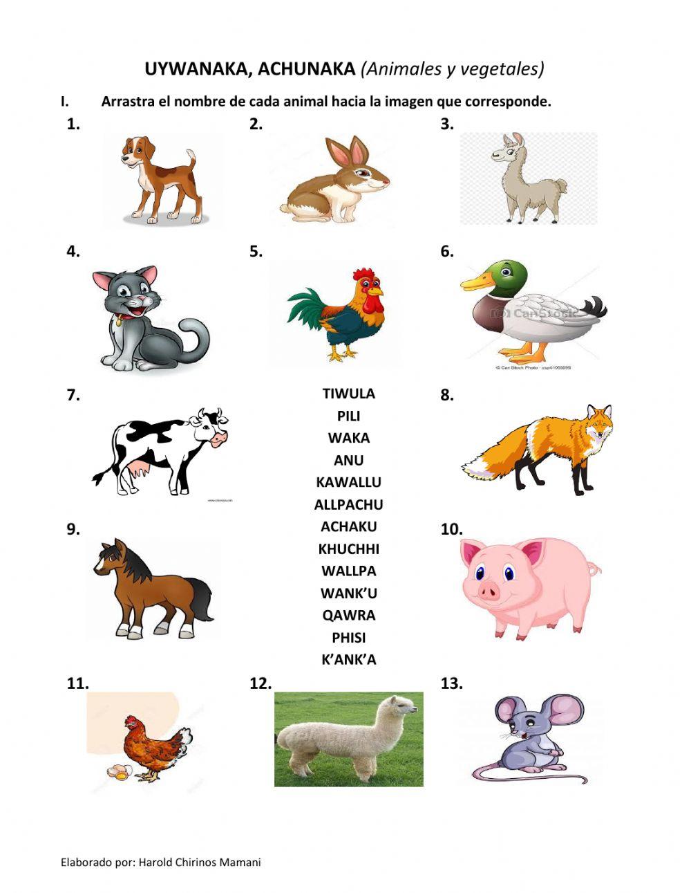 UYWANAKA (Los animales)