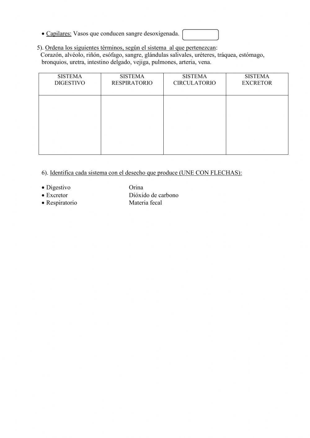 Sistemas intervinientes en la función de nutrición humana