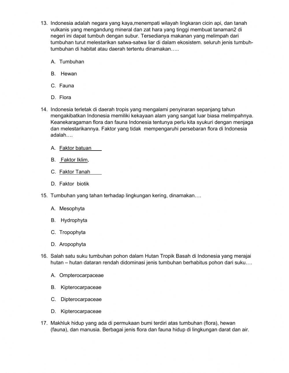 Ujian Tengah Semester