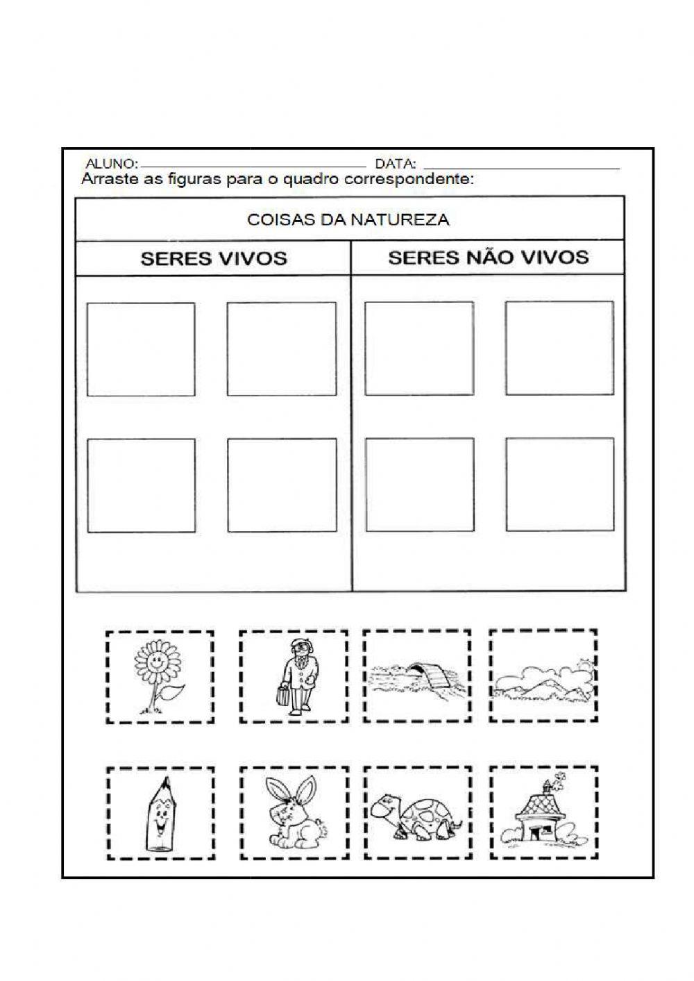 Seres Vivos e Não Vivos