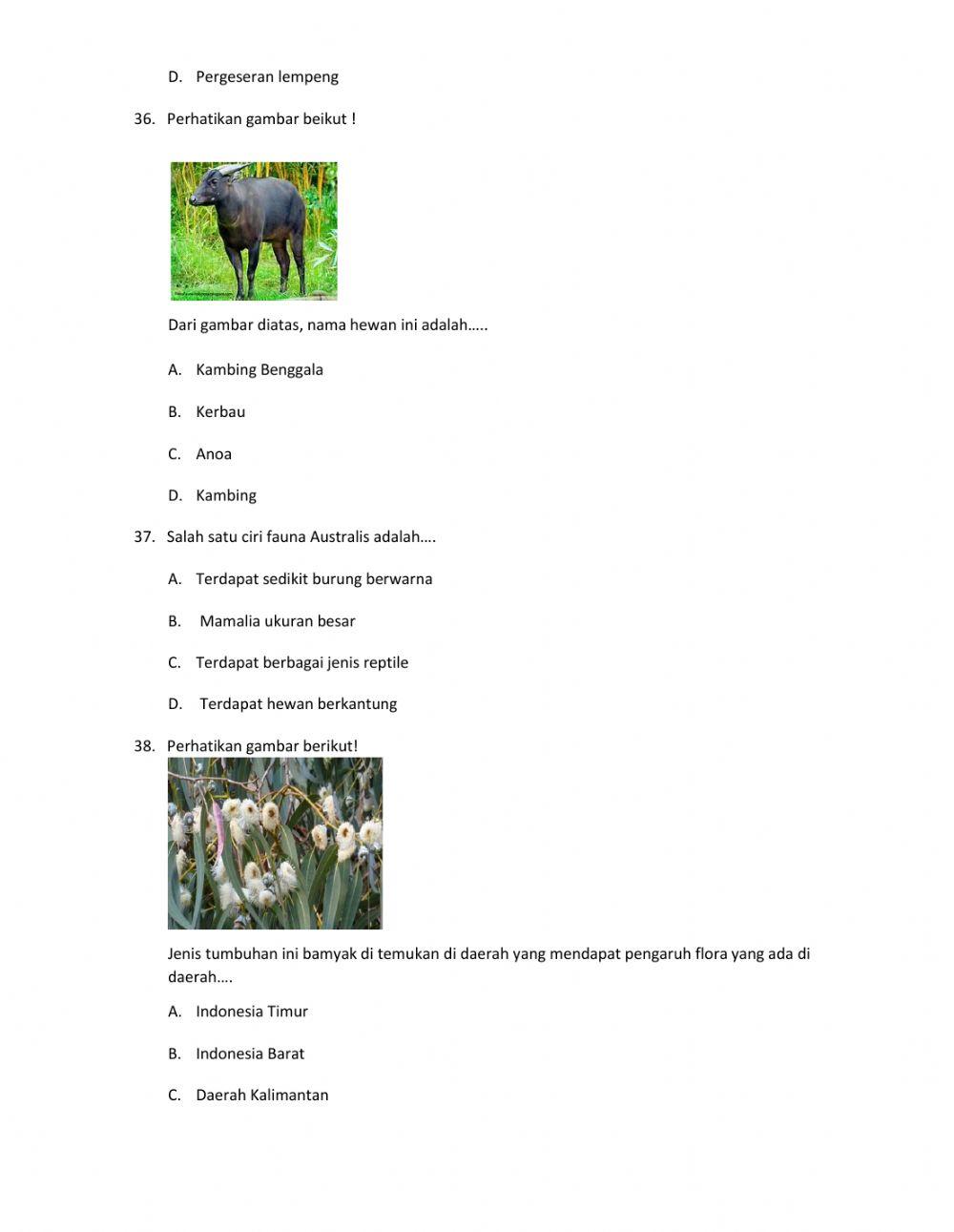 Ujian Tengah Semester