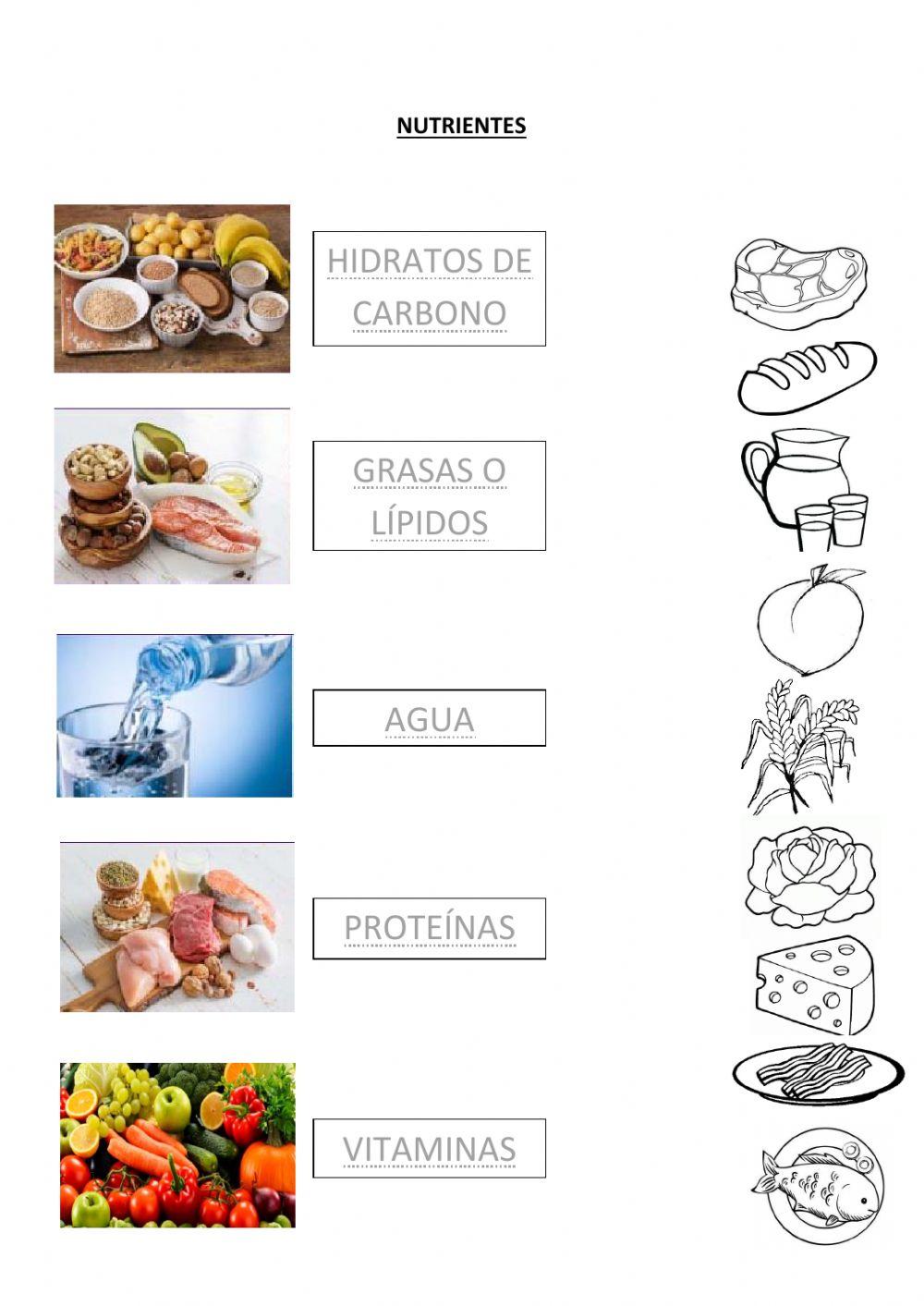 Tipos de alimentos