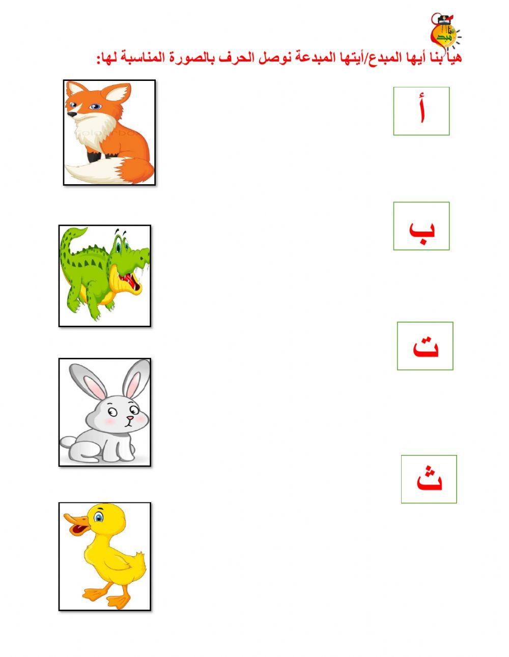 أوراق متنوعة