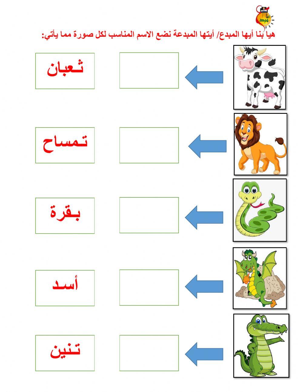 أوراق متنوعة