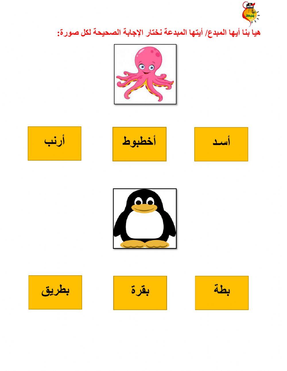أوراق متنوعة