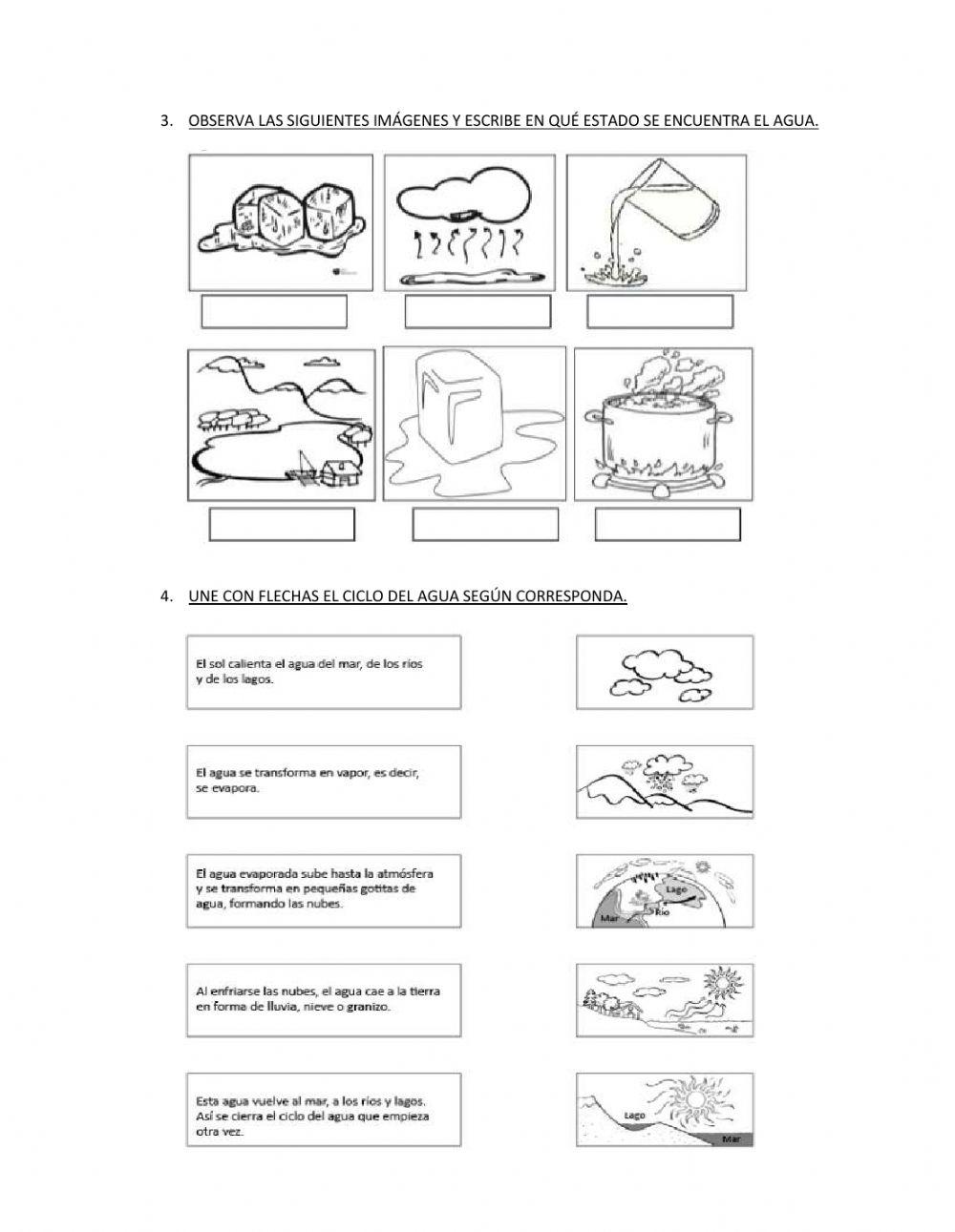 Los estados dell agua