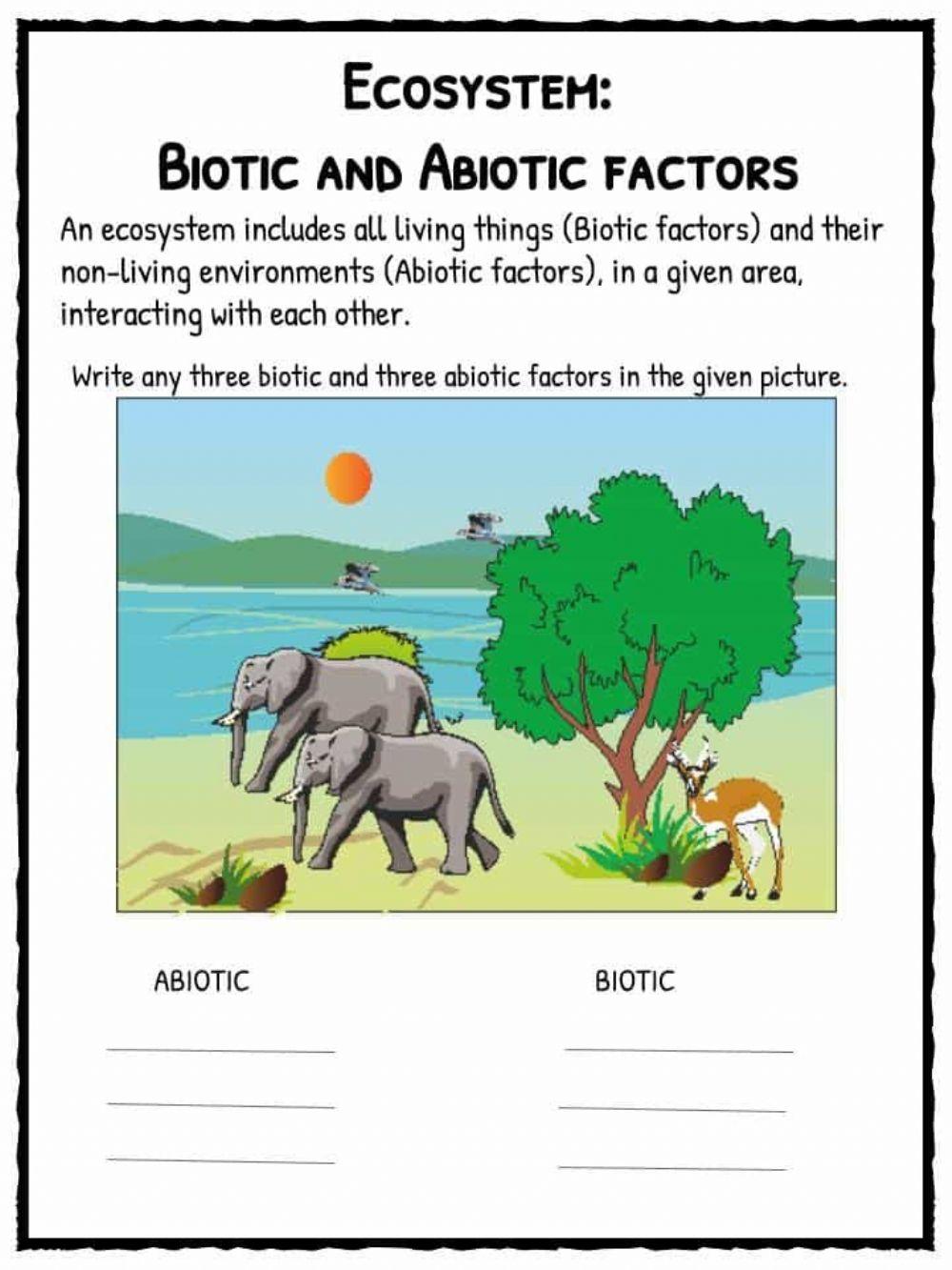 Ecosystem 408571 Kashin Ali Live Worksheets ecosystem-408571-kashin-ali-live-worksheets