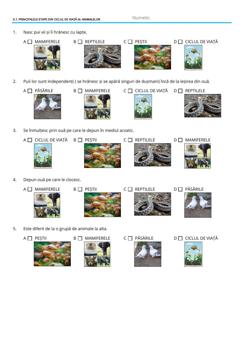 Principalele etape din ciclul de viață al animalelor