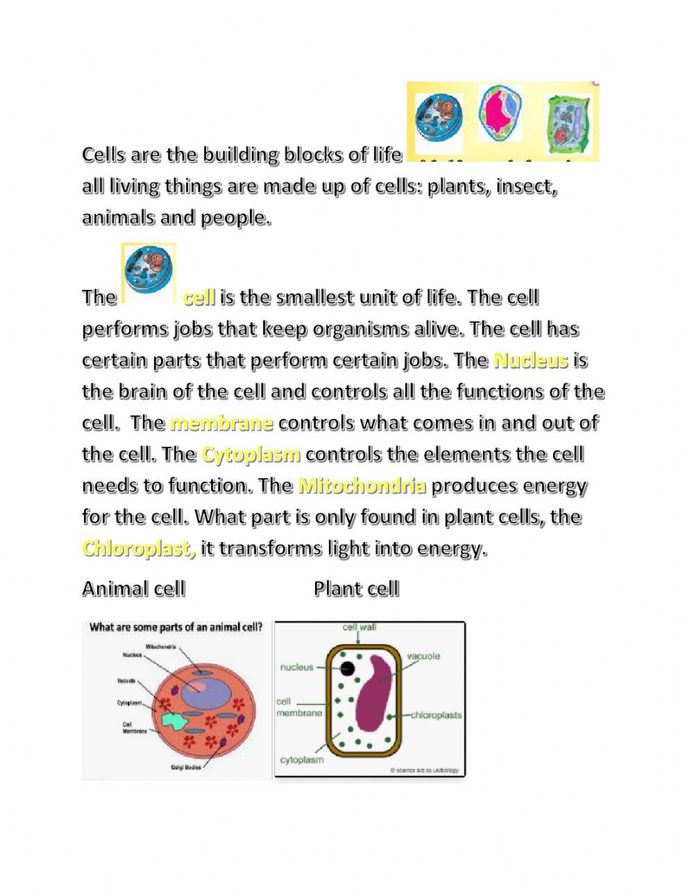Welcome to Carroll High School Nice to see you!