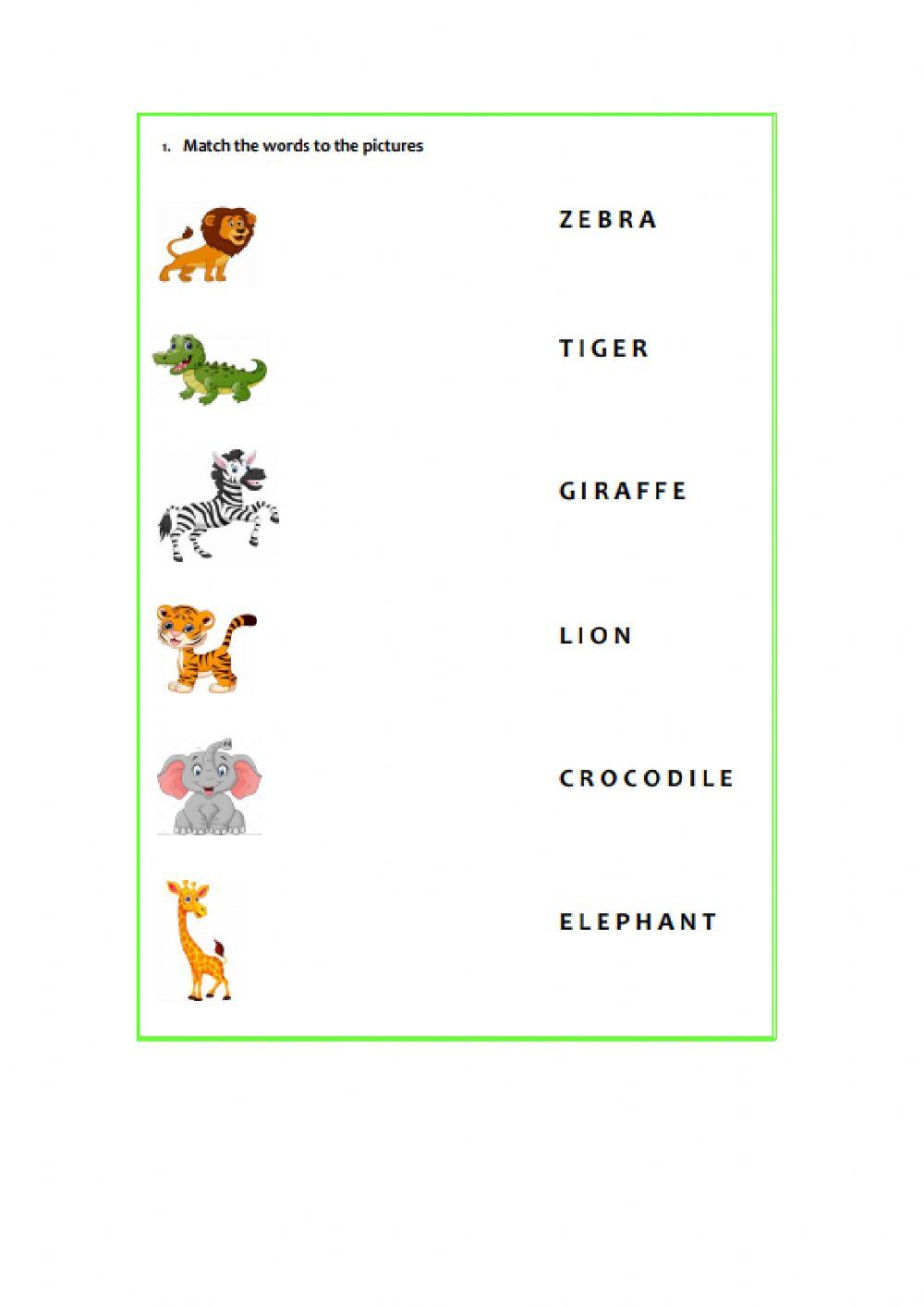 Match the animals to their names