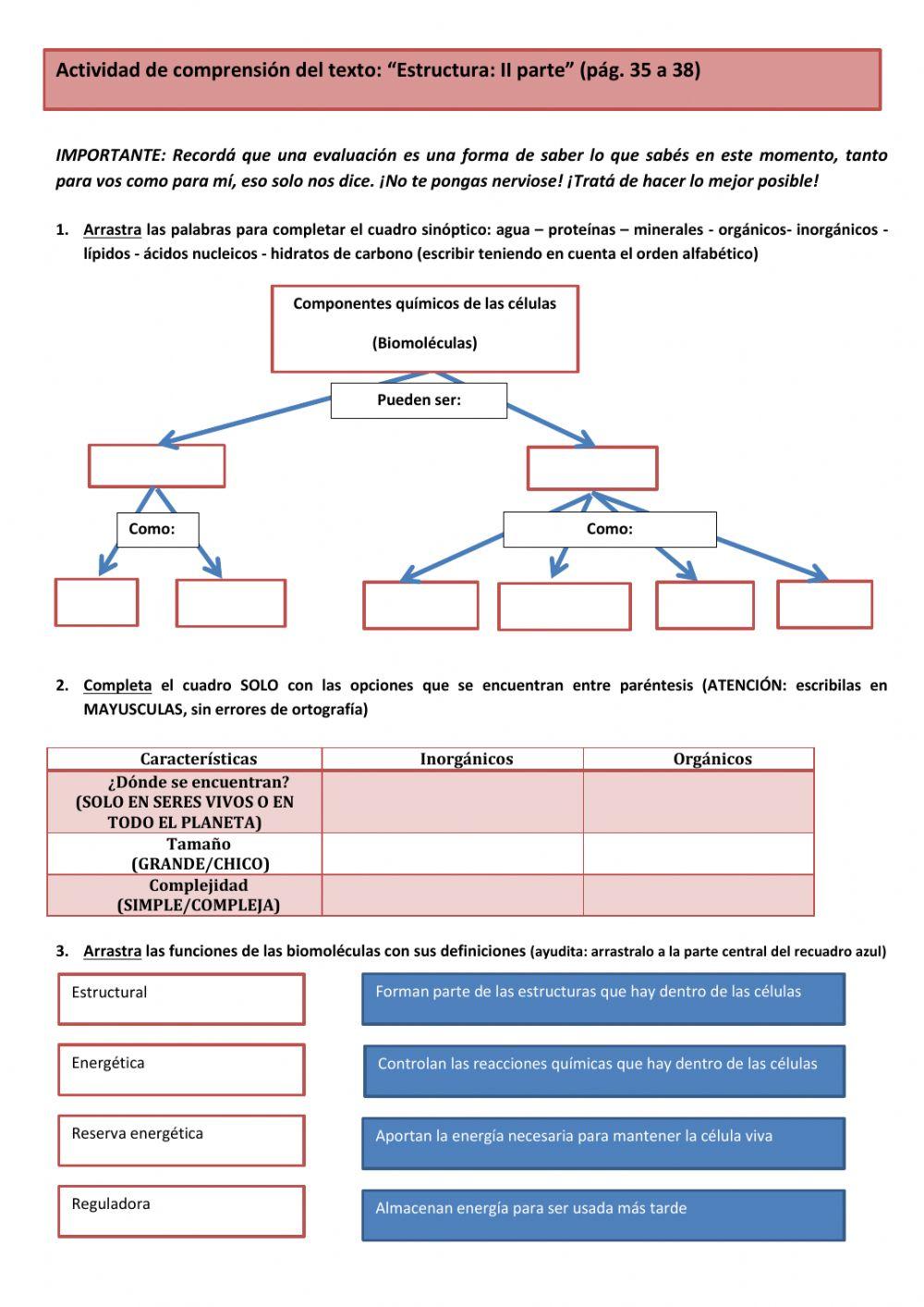 Estructura de los seres vivos 2